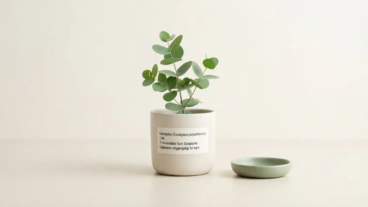 Online Healthcare in Denmark: A Nordic Approach to Wellness —